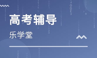 天津樂學(xué)堂教育信息咨詢 獲大眾網(wǎng)推薦品牌，助力教育咨詢服務(wù)升級(jí)