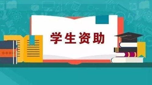 沒錢上大學(xué)？超全資助政策匯總，助你圓夢無壓力
